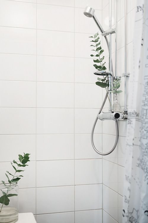 Detalles vegetales en el baño