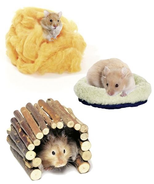 Cunas para hamster
