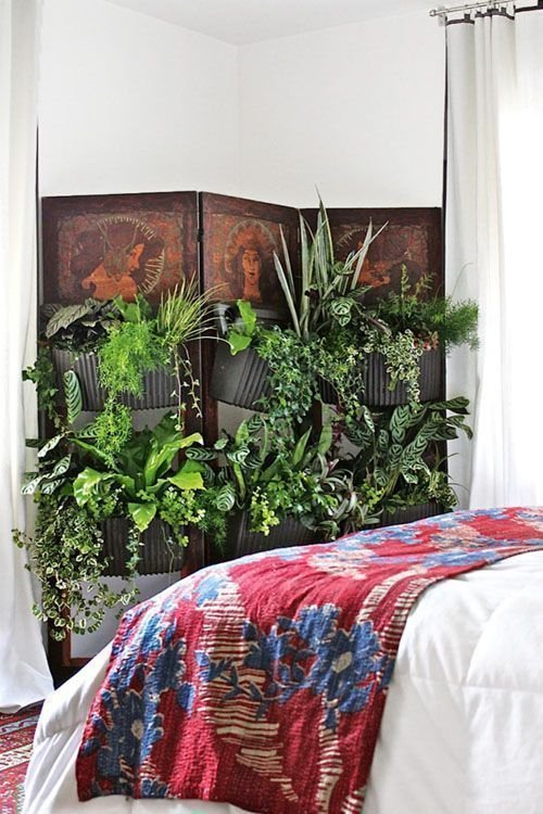 Biombo con plantas. Foto: Debra Szidon