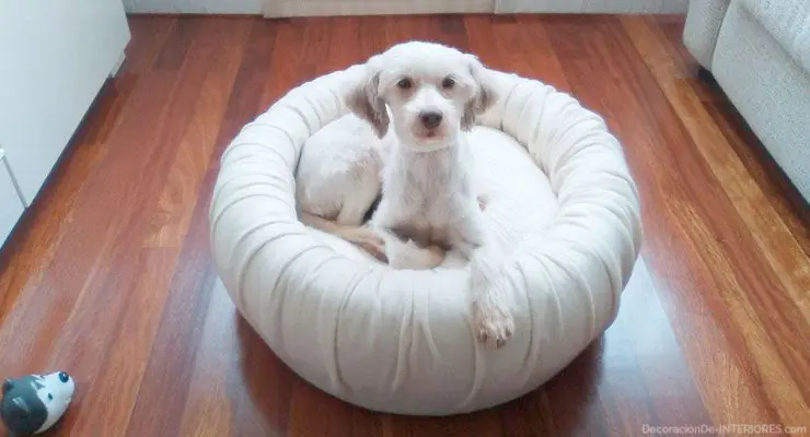  Cama de lujo para mascotas, DIY | DecoracionDe-INTERIORES.com