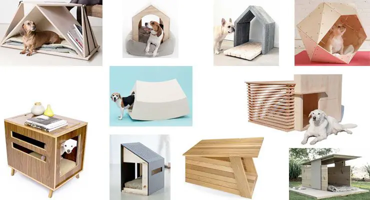 10 modernas casas para perros