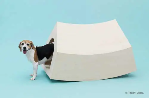 Casa para perros de MVRDV